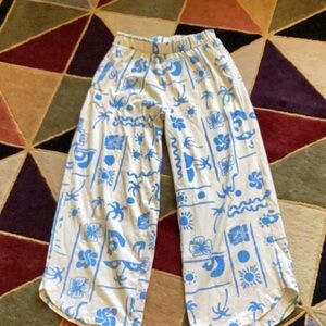 Zara pants almost brand new I only wore the, once